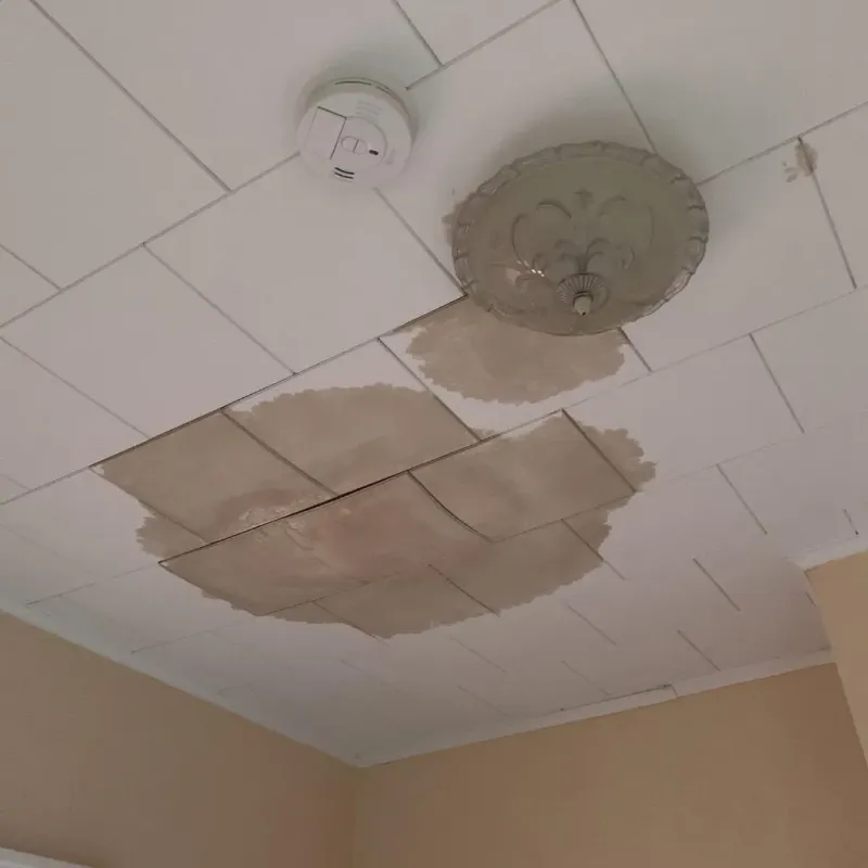 Ceiling Water Damage Repair in Upshur County, TX