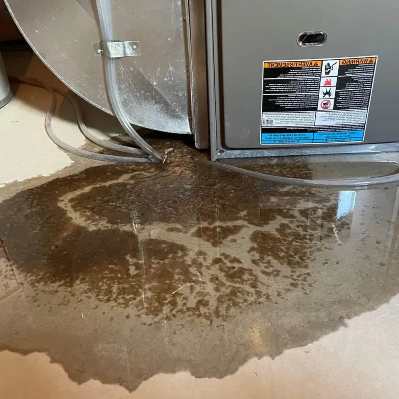 Pipe Burst and Leak Restoration in Upshur County, TX